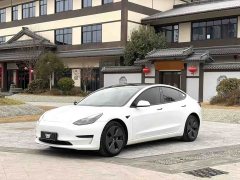 Tesla Model 3 Rear-Wheel Drive - ფოტო 1