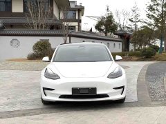 Tesla Model 3 Rear-Wheel Drive - ფოტო 2