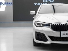 BMW 5 Series 530Li Premier M Sport Package - photo 8