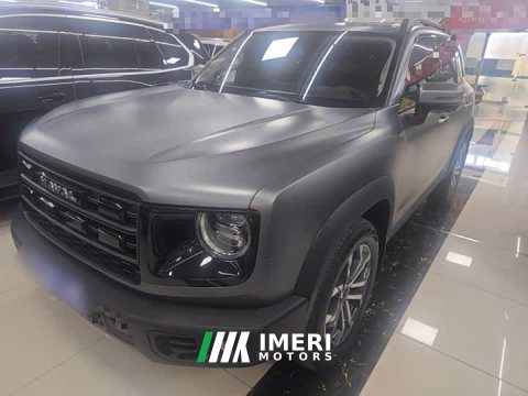 2025 Great Wall Dachshund 2.0T DCT Chinese Rural Dog Edition - ავტომობილი ჩინეთიდან