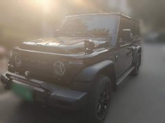 Wuling 212 T01 2.0T Mechanic Edition - фото 1