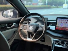 BYD Qin PLUS Glory Edition DM-i 55KM Leading - photo 16