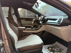 BYD Qin PLUS Glory Edition DM-i 55KM Leading - photo 8