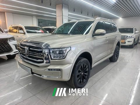 2025 Tank 500 New Energy Hi4-T - car from China