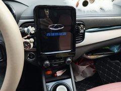 Chery Ant Facelift Sweet Pink Half-Sugar LFP 30.7kWh 30kW 301km - photo 14