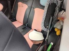 Chery Ant Facelift Sweet Pink Half-Sugar LFP 30.7kWh 30kW 301km - photo 18