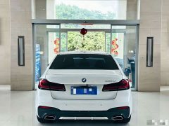 BMW 5 Series 530Li Luxury M Sport Package - photo 8