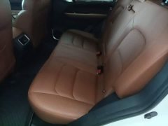 Geely Emgrand X6 PRO 1.4T Automatic Luxury - ფოტო 16