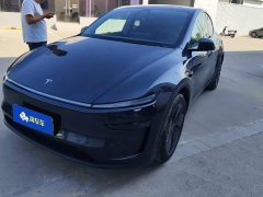 Tesla Model Y Rear-Wheel Drive Launch Edition - фото 1