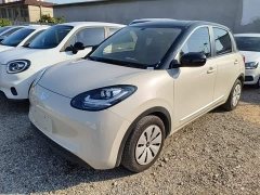 Wuling Binguo 203km Light Enjoy Edition - ფოტო 1
