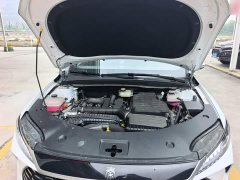 BYD Qin PLUS DM-i Smart Drive Edition 55KM Leading - фото 19
