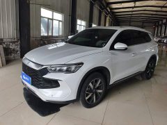 BYD Song Pro New Energy DM-i 71KM Glory Edition Pilot - photo 1