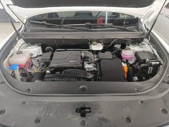BYD Song Pro New Energy DM-i 71KM Glory Edition Pilot - photo 10