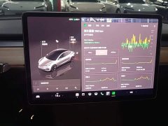 Tesla Model 3 Rear-Wheel Drive - photo 12