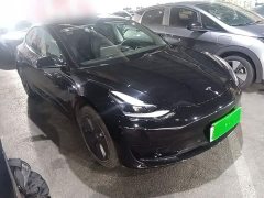 Tesla Model 3 Rear-Wheel Drive - photo 3