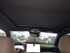 BYD Yuan Plus DM-i Glory Edition 112KM Premium - ფოტო 17