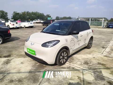 2024 Wuling Binguo 333km Joy Edition - ავტომობილი ჩინეთიდან