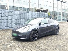 Tesla Model Y Performance All-Wheel Drive - ფოტო 1