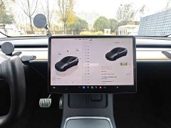 Tesla Model Y Performance All-Wheel Drive - ფოტო 8