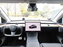 Tesla Model Y Performance All-Wheel Drive - ფოტო 9