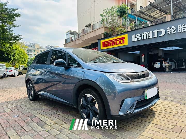 BYD Dolphin 420km Freedom Edition - ავტომობილი ჩინეთიდან