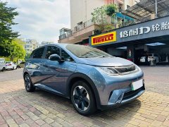BYD Dolphin 420km Freedom Edition - ფოტო 1