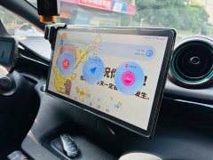 BYD Dolphin 420km Freedom Edition - ფოტო 11