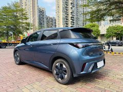 BYD Dolphin 420km Freedom Edition - ფოტო 16