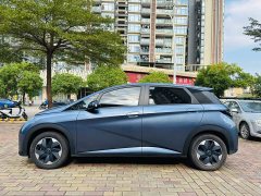 BYD Dolphin 420km Freedom Edition - ფოტო 2