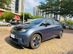BYD Dolphin 420km Freedom Edition - ფოტო 3