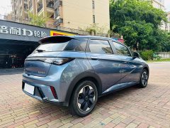 BYD Dolphin 420km Freedom Edition - ფოტო 7