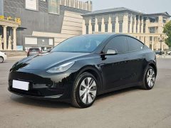 Tesla Model Y Rear-Wheel Drive - ფოტო 1