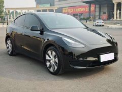 Tesla Model Y Rear-Wheel Drive - ფოტო 3