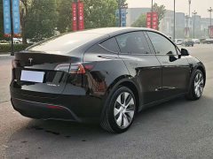 Tesla Model Y Rear-Wheel Drive - ფოტო 6