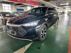 BYD Tang New Energy DM-i 115KM Premium Edition - фото 1