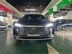 BYD Tang New Energy DM-i 115KM Premium Edition - фото 2
