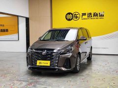 Buick GL8 Land Executive Cabin 652T Luxury - ფოტო 1