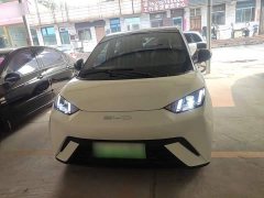 BYD Seagull Flying Edition - фото 2
