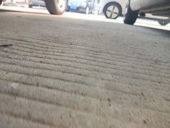 BYD Seagull Flying Edition - фото 20