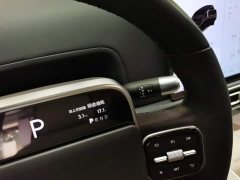 Li Auto L9 Max - ფოტო 13