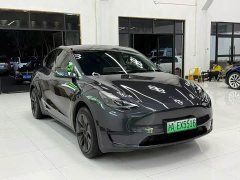 Tesla Model Y Rear-Wheel Drive - photo 3