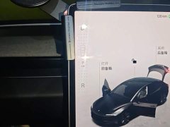 Tesla Model 3 Rear-Wheel Drive - ფოტო 16