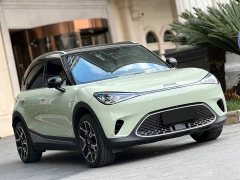 smart #1 Pulse Heartbeat Edition - ფოტო 3