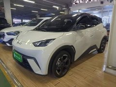BYD Seagull Glory Edition 305km Freedom Version - ფოტო 1