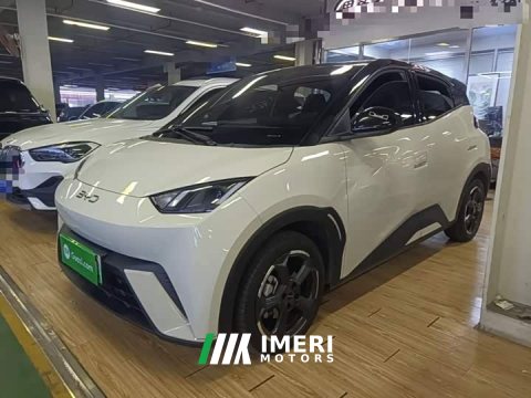 2024 BYD Seagull Glory Edition 305km Freedom Version - car from China