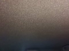 BYD Seagull Glory Edition 305km Freedom Version - ფოტო 17