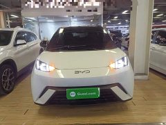 BYD Seagull Glory Edition 305km Freedom Version - ფოტო 2