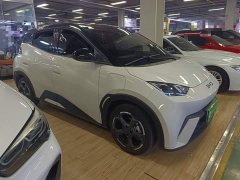 BYD Seagull Glory Edition 305km Freedom Version - ფოტო 3