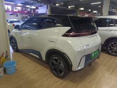BYD Seagull Glory Edition 305km Freedom Version - ფოტო 4