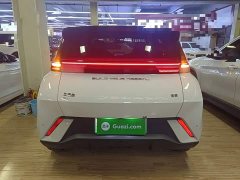 BYD Seagull Glory Edition 305km Freedom Version - ფოტო 5